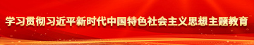 美女BB一区学习贯彻习近平新时代中国特色社会主义思想主题教育